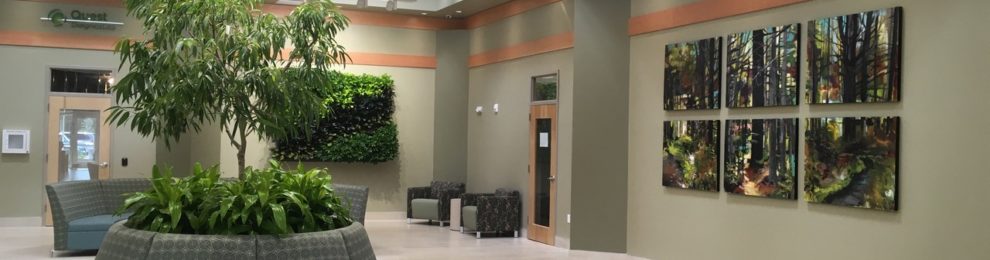 Take a Virtual Tour of Our Latest Medical Center